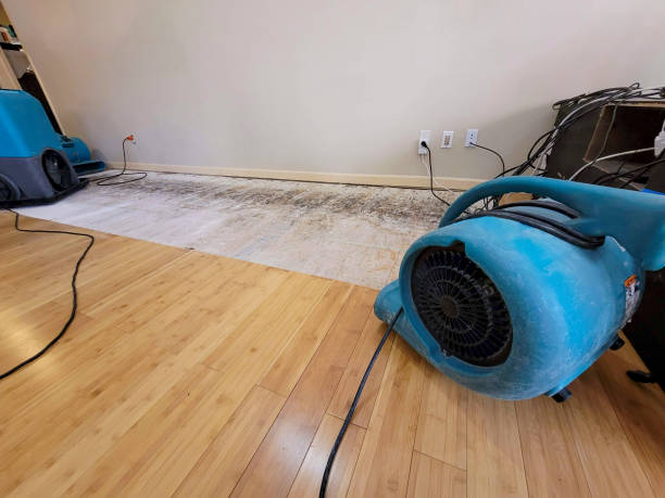 Professional Water Extraction technician working in Deerfield, OH